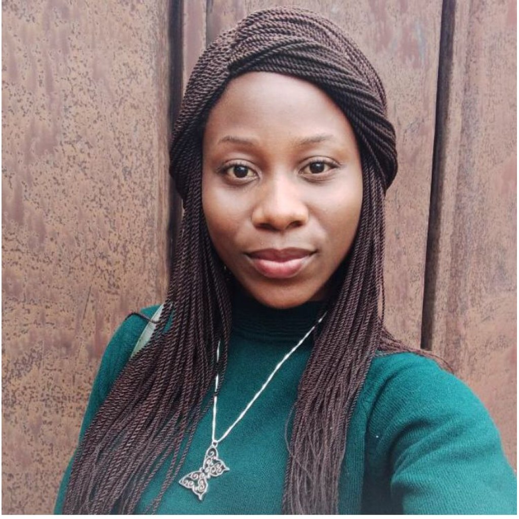 Kween4bic Beauty World Ojo Lagos: Wig Revamp, Braided Wigs & Faux Locs