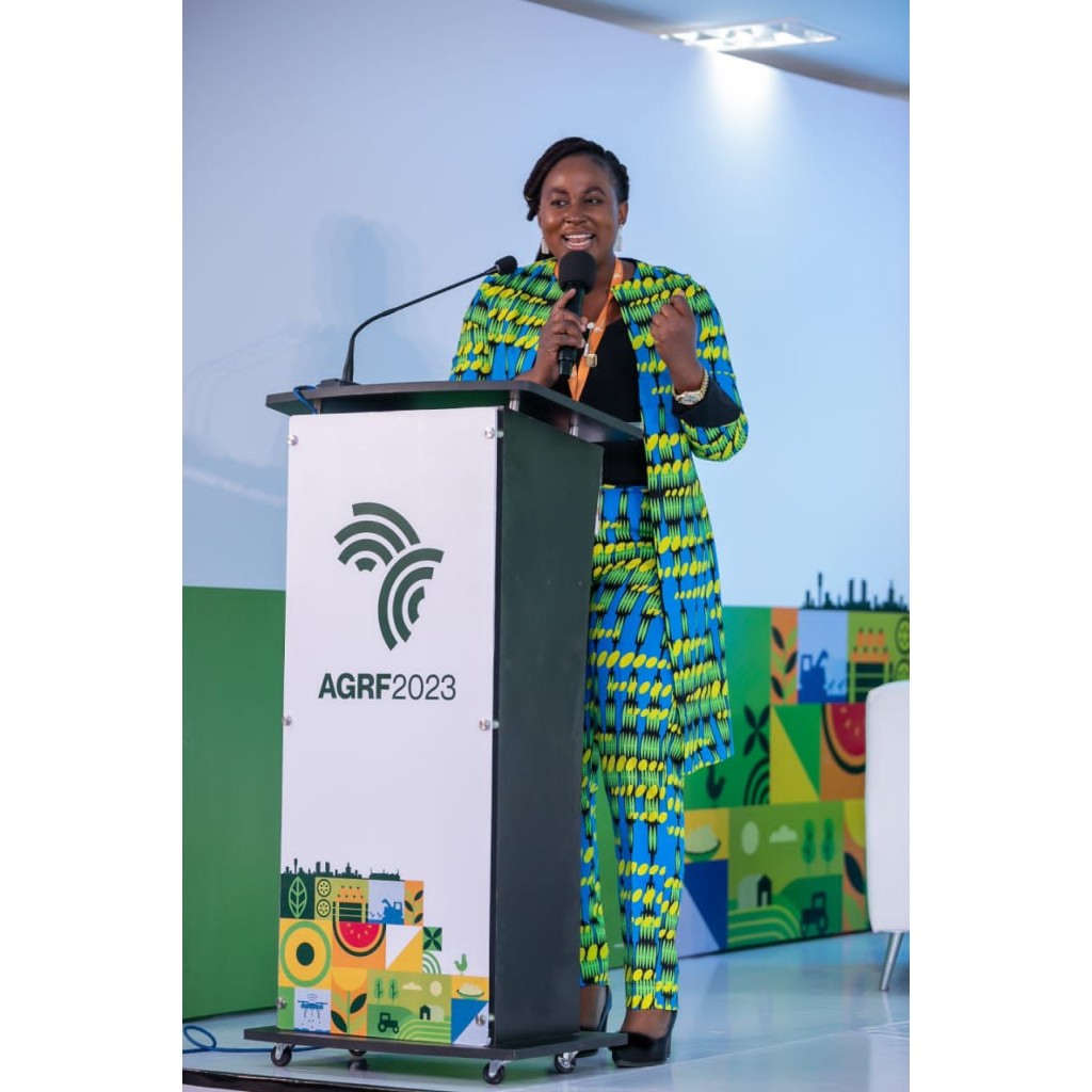 MacAnne Events Egbeda, Lagos Wedding MC and Event Host Services