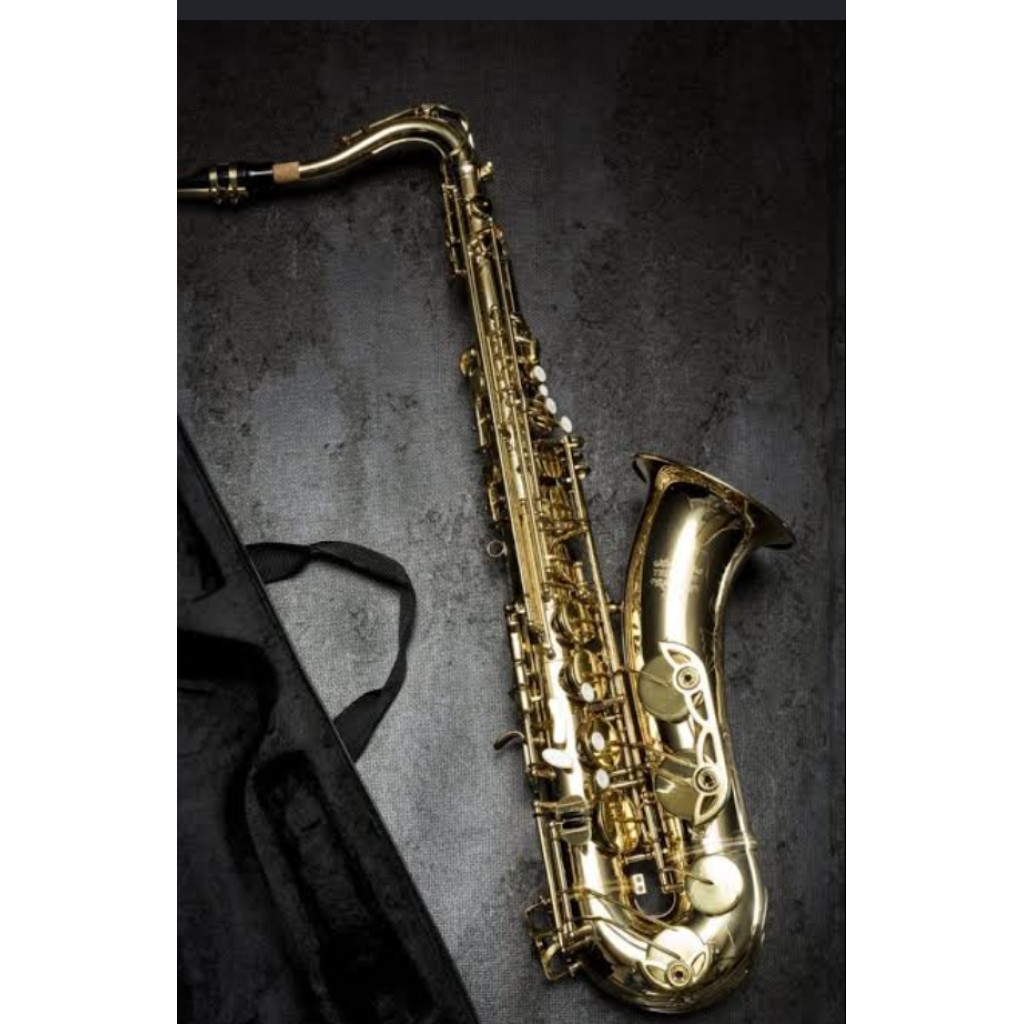 His Mercy Instituted Saxophonist Limited Ado Ekiti Events & Saxophone