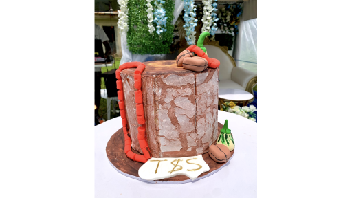 Daliz Bakes 'N' Events: Cakes, Decor and Catering in Akute, Ogun
