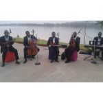 Arpeggio Strings Quartet and Orchestra | Abuja Music School Services